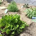 アパート Apartmanhaz バラトンレッレ