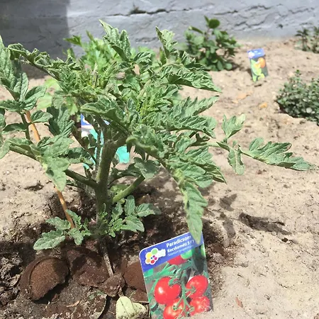 Apartamento Apartmanhaz