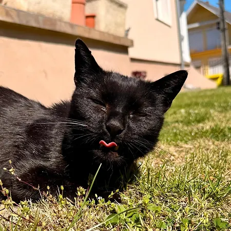Διαμέρισμα Apartmanhaz *