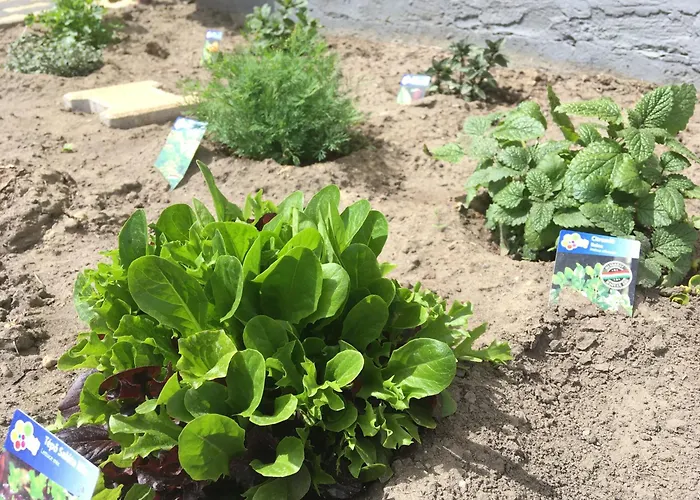 아파트 Apartmanhaz 발라톤엘